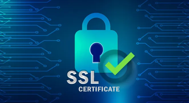 SSL Nedir? SSL Nasıl Çalışır?